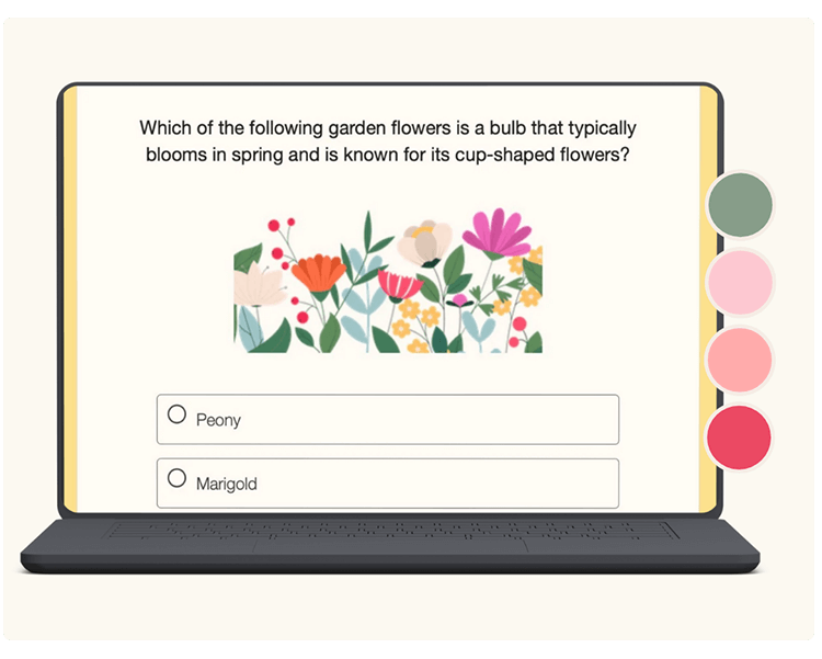 Multiple choice quiz with image and color palette