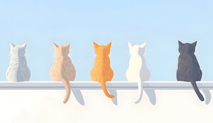 cats sitting on a wall thinking