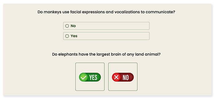 yes or no questions as a multiple choice or picture choice question type