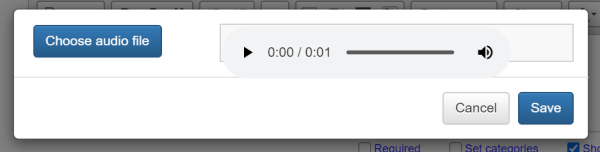 audio file displayed on the quiz page