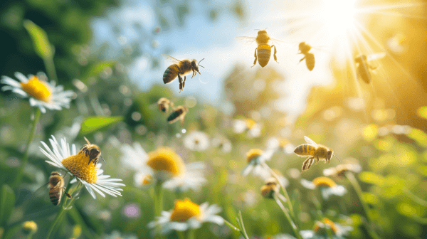 bees flying among flowers and grass