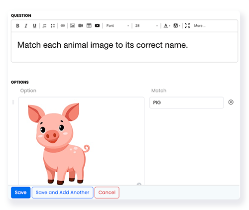 FlexiQuiz example of how to upload an image for matching questions