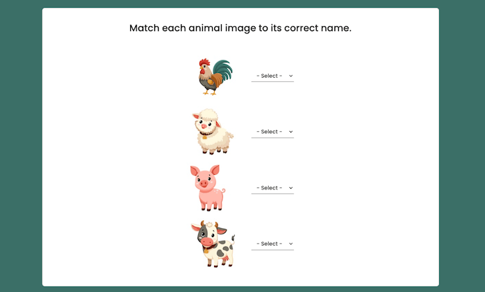 example of what the image questions look like