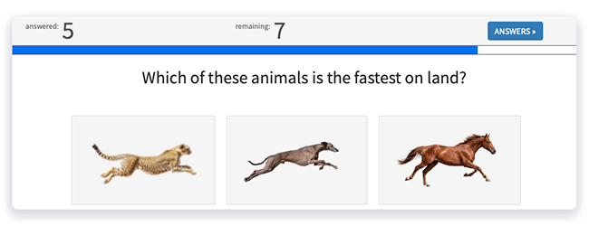 adding images to answer options