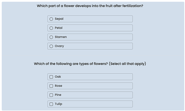 quiz questions with answer options in a border