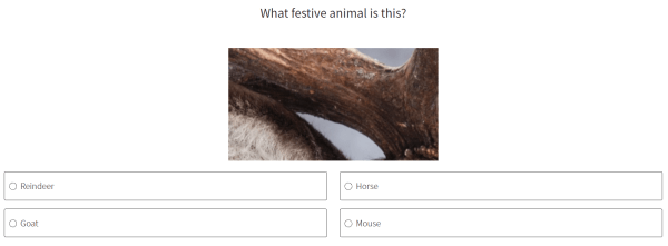 live quiz question with image