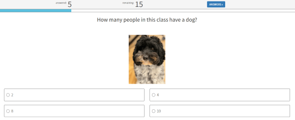 quiz question with picture of dog